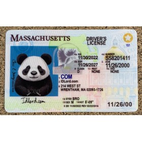 Massachusetts scannable card