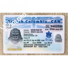 British Columbia Fake Driver Licence