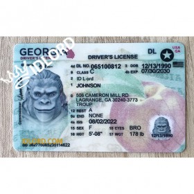 Georgia Fake Driver Licence 