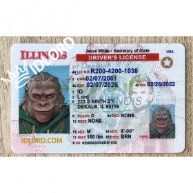 Illinois  Fake ID