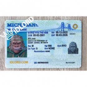 Michigan Fake Driver Licence 