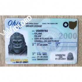 Ohio Fake ID
