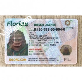 Florida  Fake Driver Licence