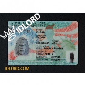 Fake US Grean Card