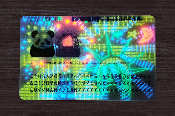 Best scannable IDs with 100% scan guarantee and premium quality