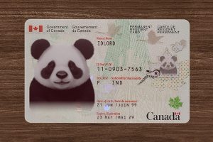 Best Novelty Ids | Canada PR (2025 Version)