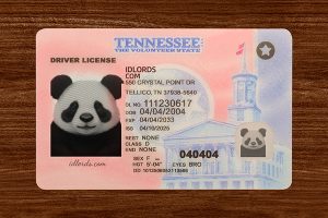 Novelty IDs vs Real IDs: What's the Difference?