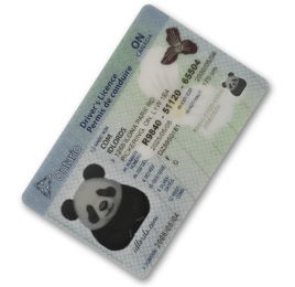 Scannable driver’s license card with barcode and hologram