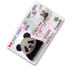 Scannable ID cards with barcode and magnetic stripe ready for fast verified delivery