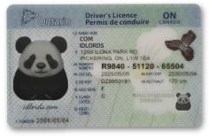 Scannable driver’s license card with barcode and hologram