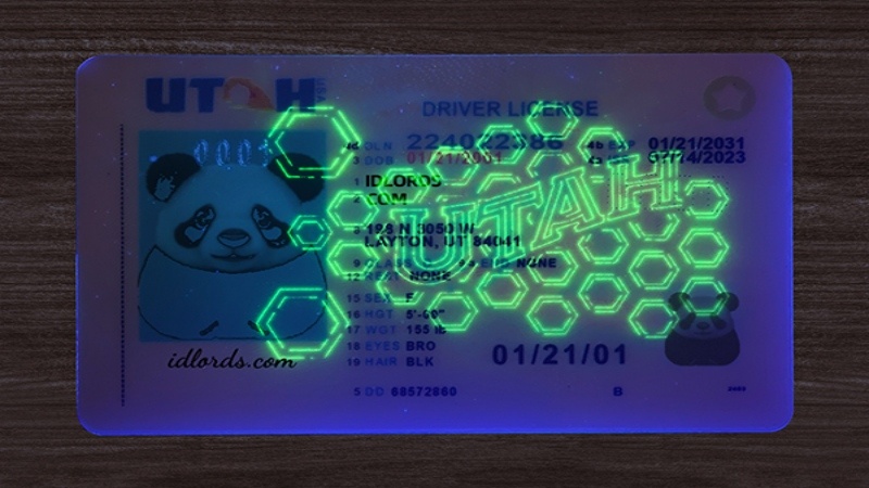 Close-up of modern driving license security features including holograms, UV printing, QR codes, and microtext.