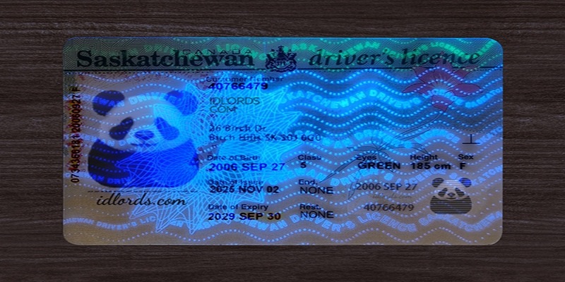 Driving license authentication and security awareness